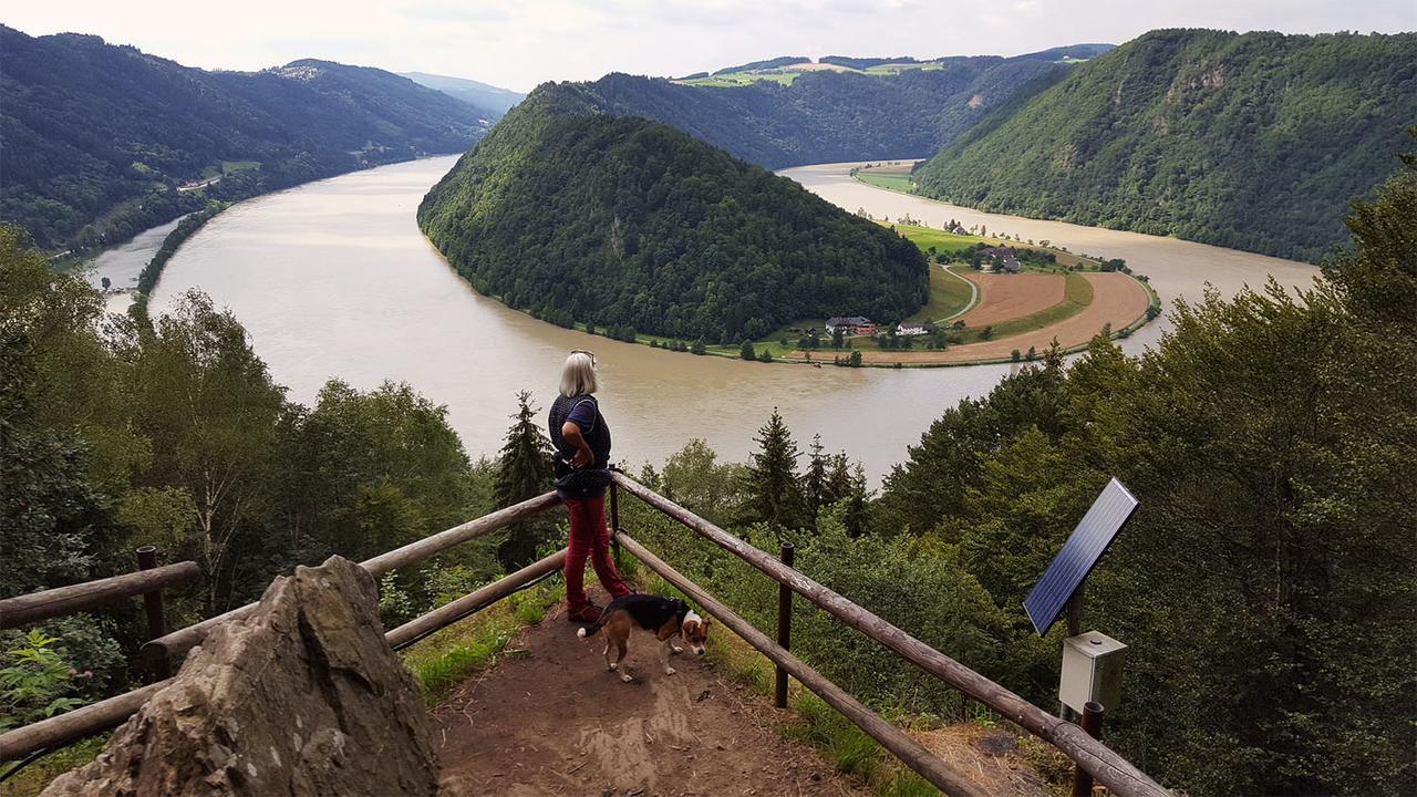 Gasthof 'Zum Alten Turm' Haslach an der Mühl Exterior foto